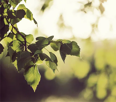 华体会官网